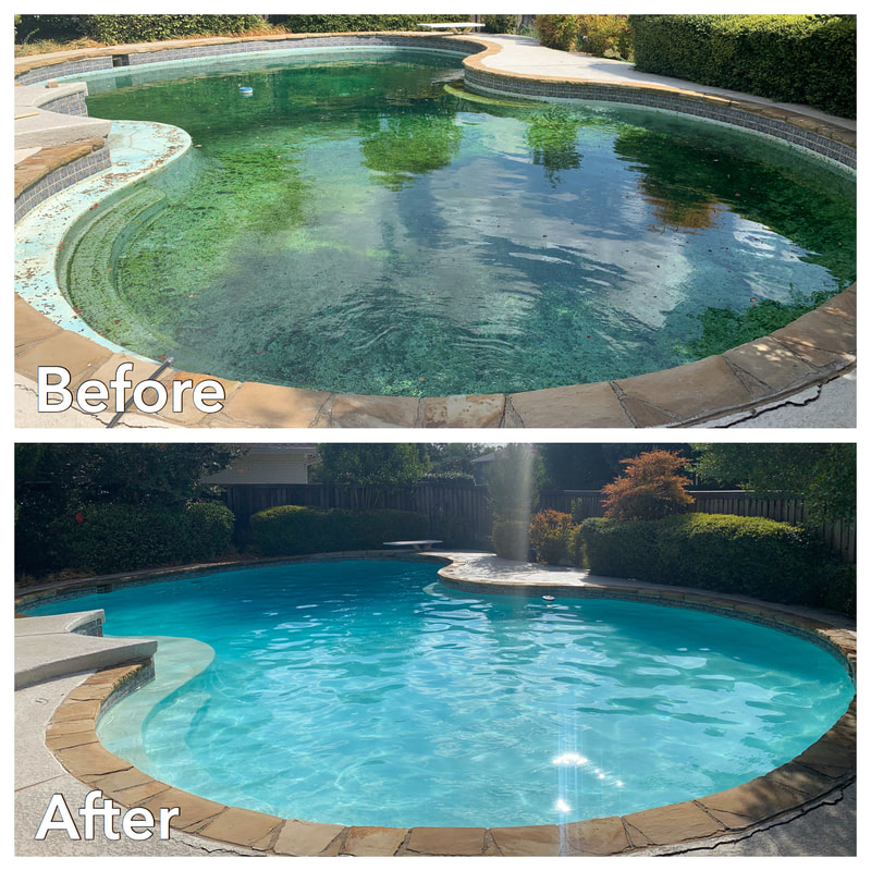 restoration of green pool to pristine blue pool cleaning